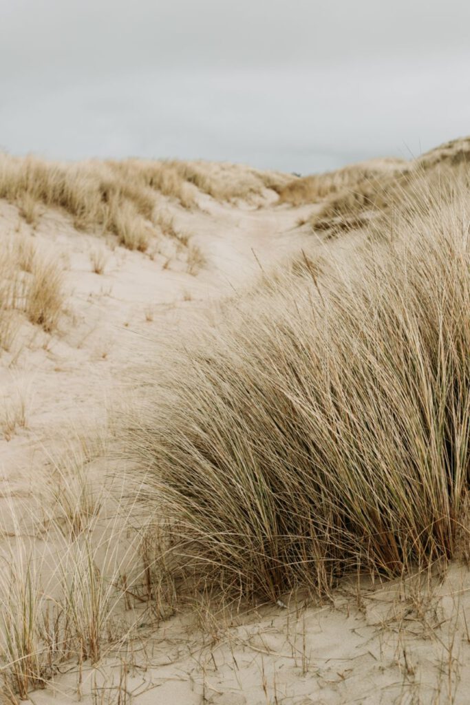 Loodshotel Vlieland Friesland