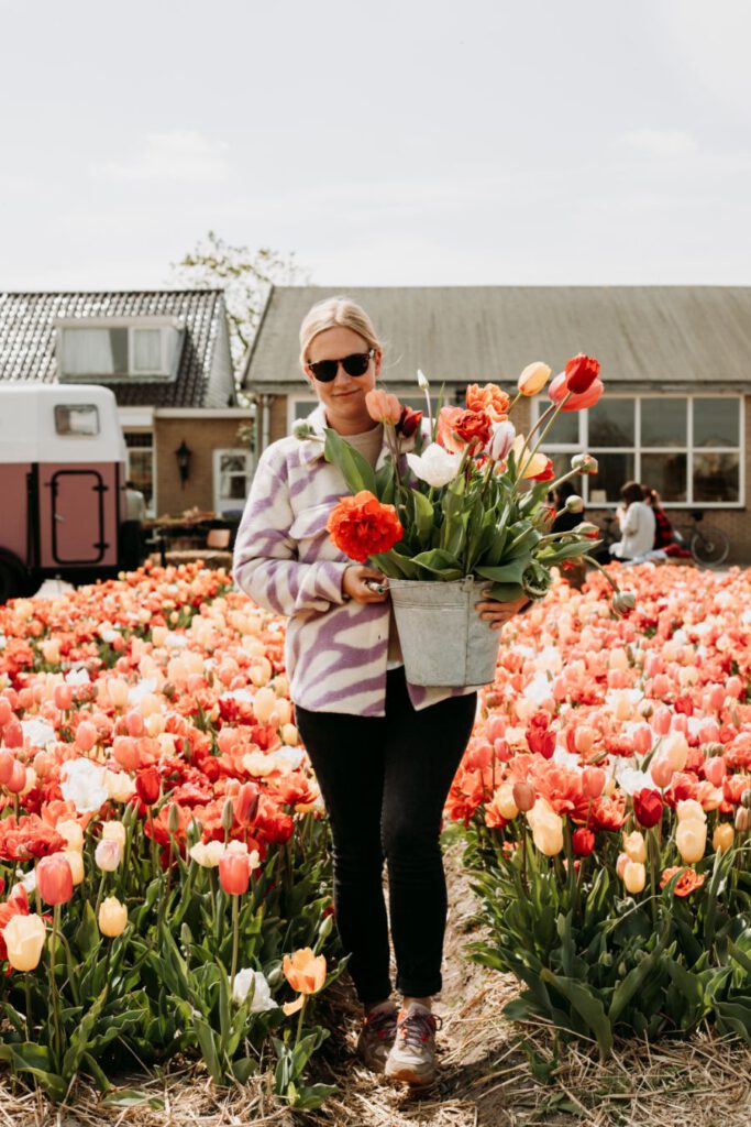 Bloementeler S. Pennings Noordwijkerhout tulpen plukken