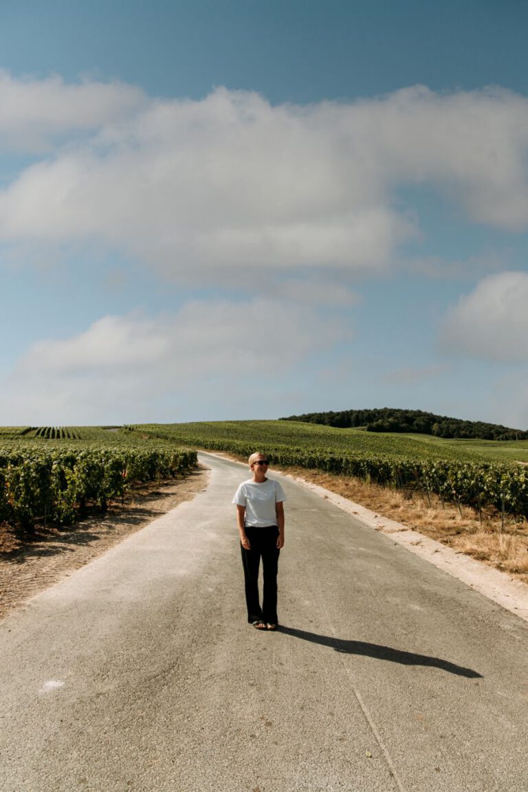 Champagnestreek Frankrijk