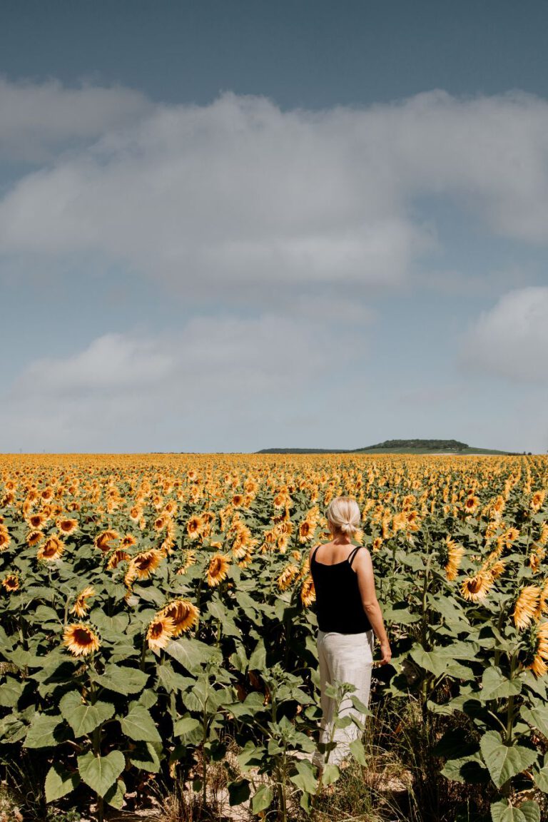 Champagnestreek Frankrijk