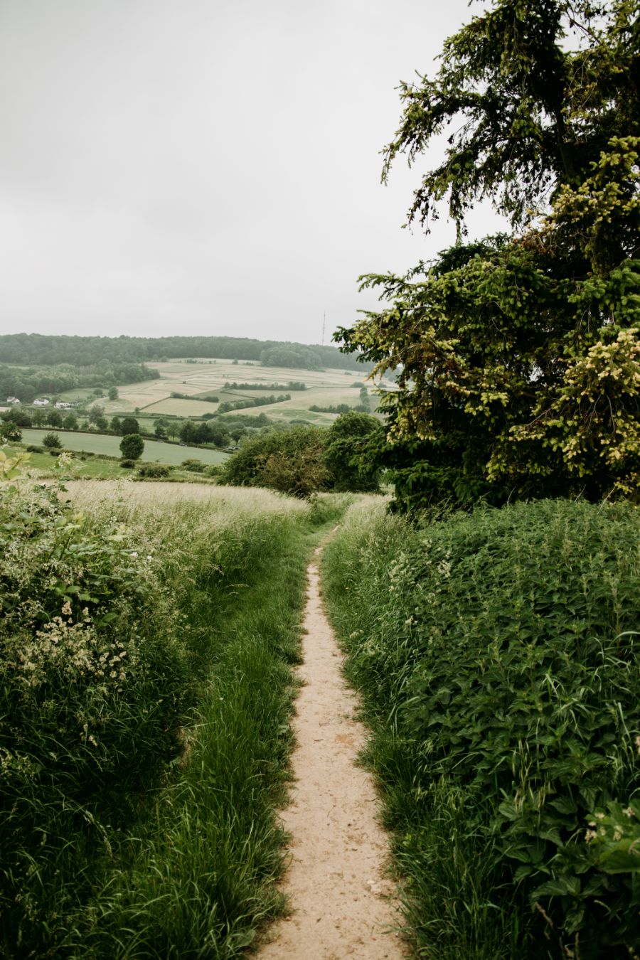 Route des Vins Zuid-Limburg