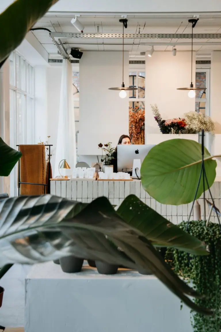 Studio Ellis Turnhout Belgie