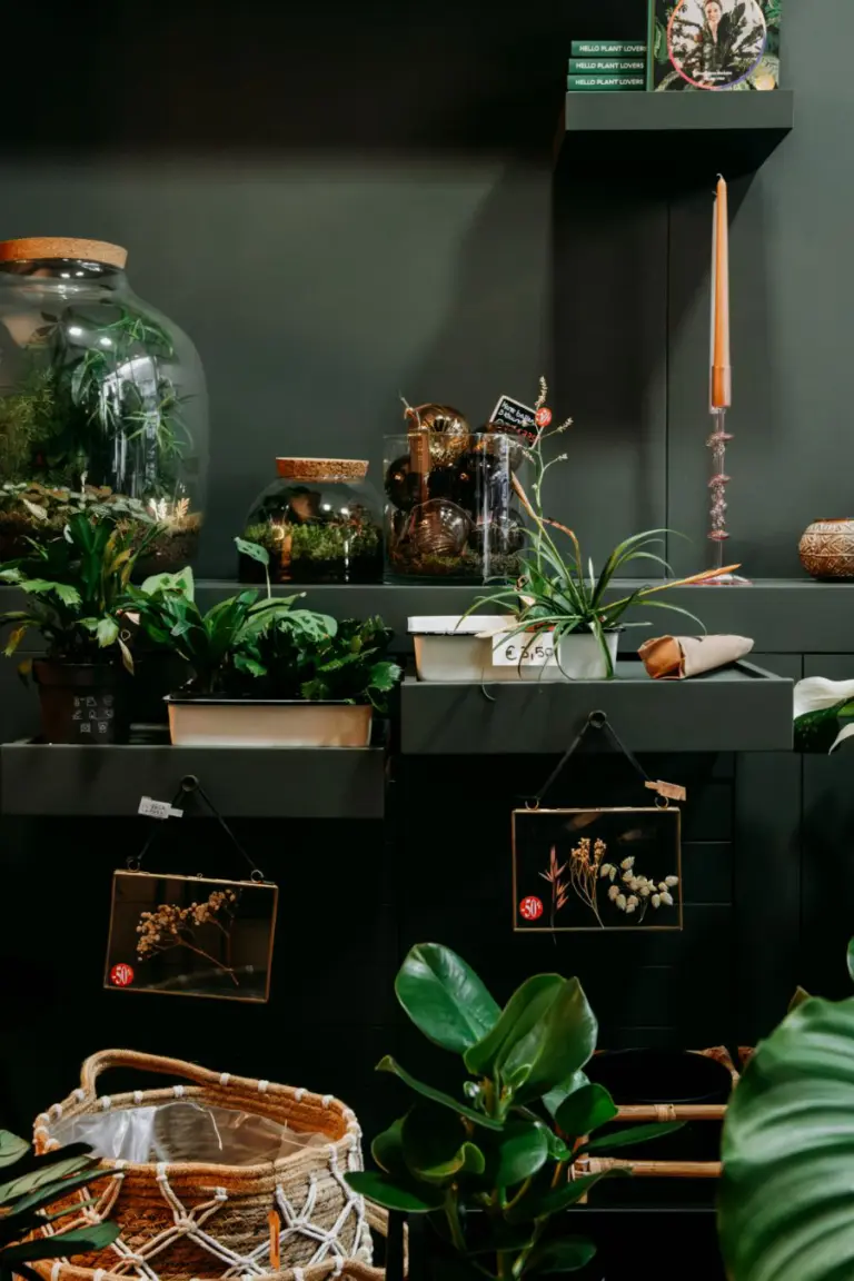 Rimboe Turnhout Belgie