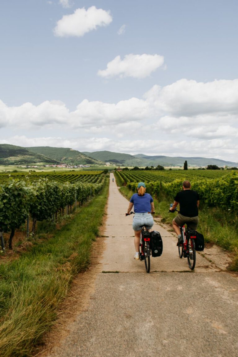 Weinstrasse Duitsland