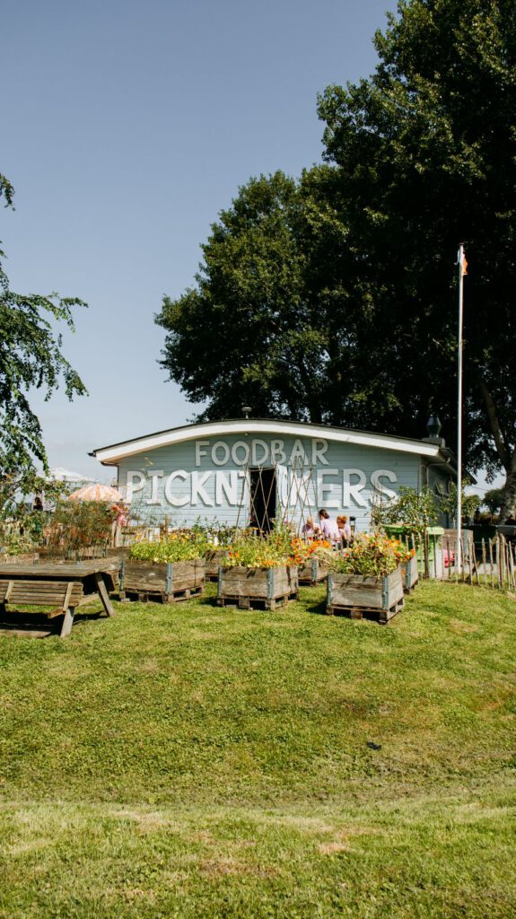 Picknickers Terherne Friesland