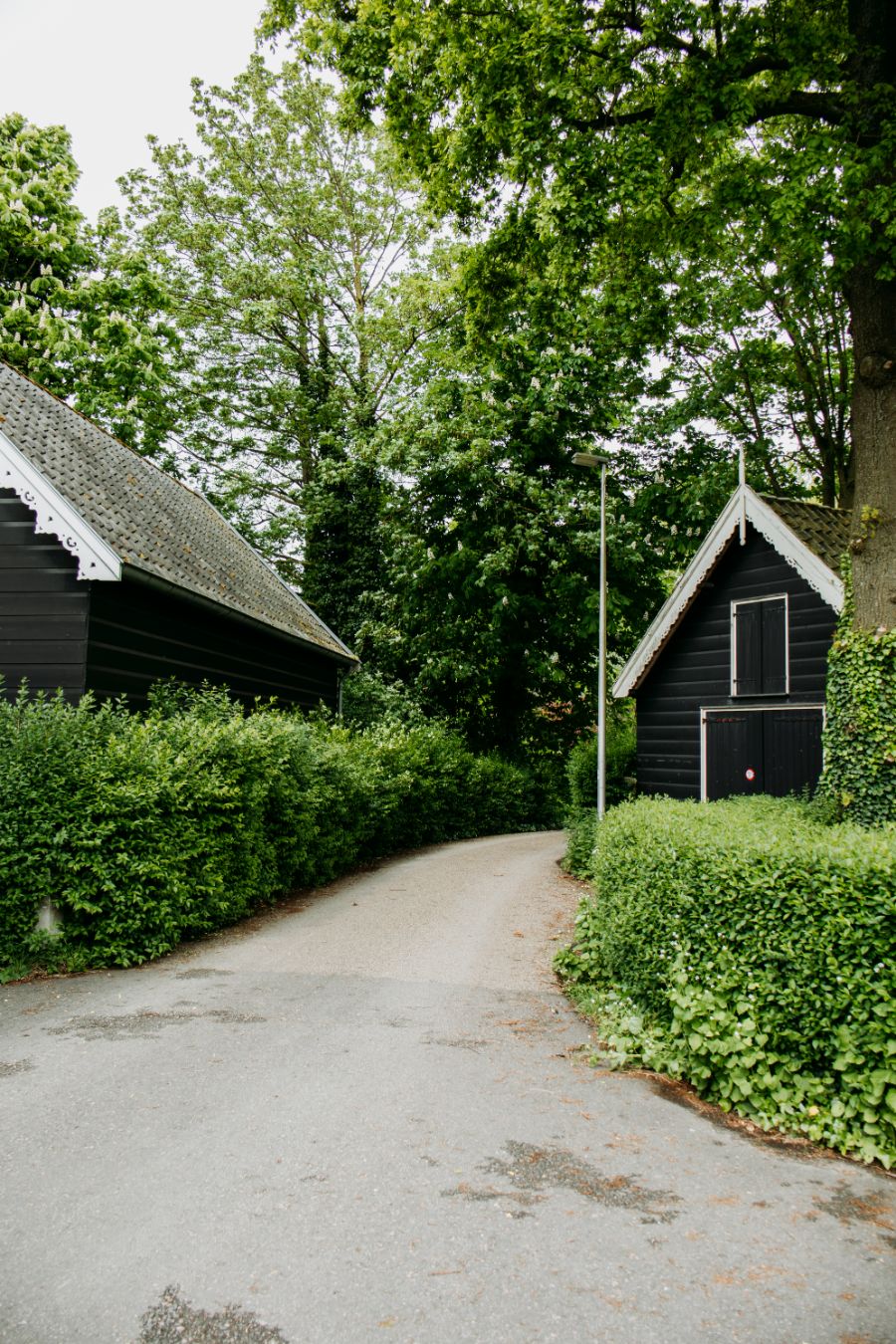 Wandeling langs de Vecht Utrecht Maarssen