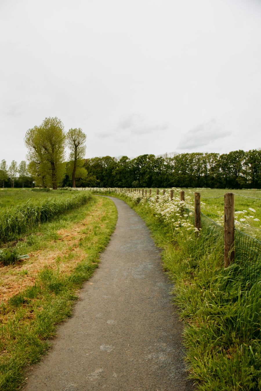 Wandeling langs de Vecht Utrecht Maarssen