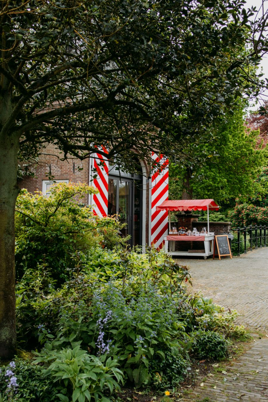 Wandeling langs de Vecht Utrecht Maarssen