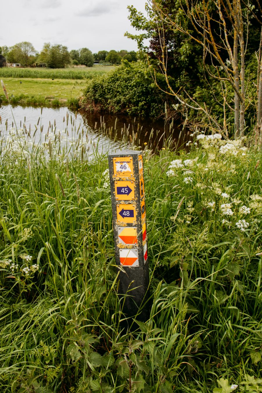 Wandeling langs de Vecht Utrecht Maarssen