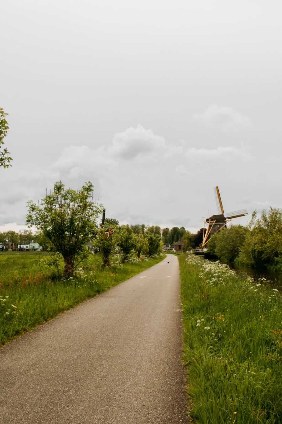 Wandeling langs de Vecht Utrecht Maarssen