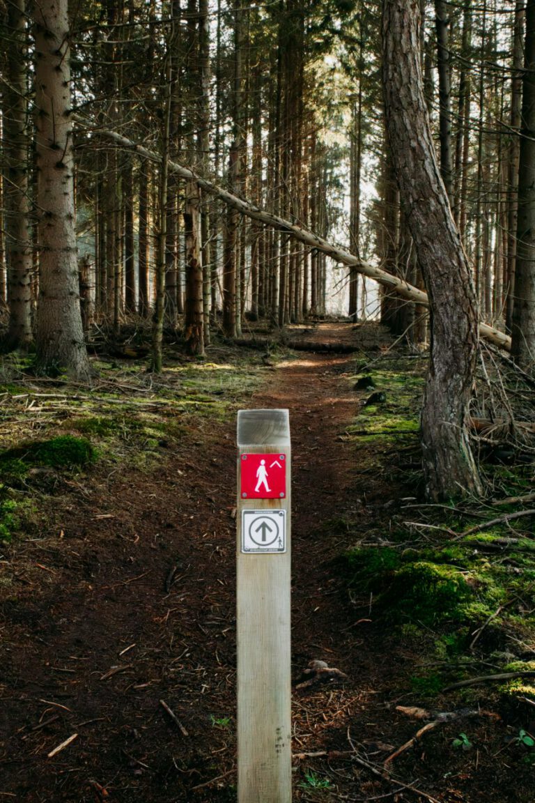 Wandelen Tilgrup Vallei Nationaal Park Drents-Friese Wold