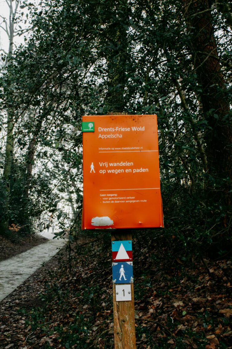 Wandelen Tilgrup Vallei Nationaal Park Drents-Friese Wold