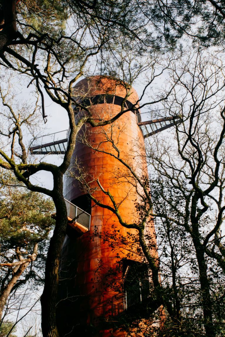 Bostoren Appelscha Wandelen Drents-Friese Wold Friesland Drenthe