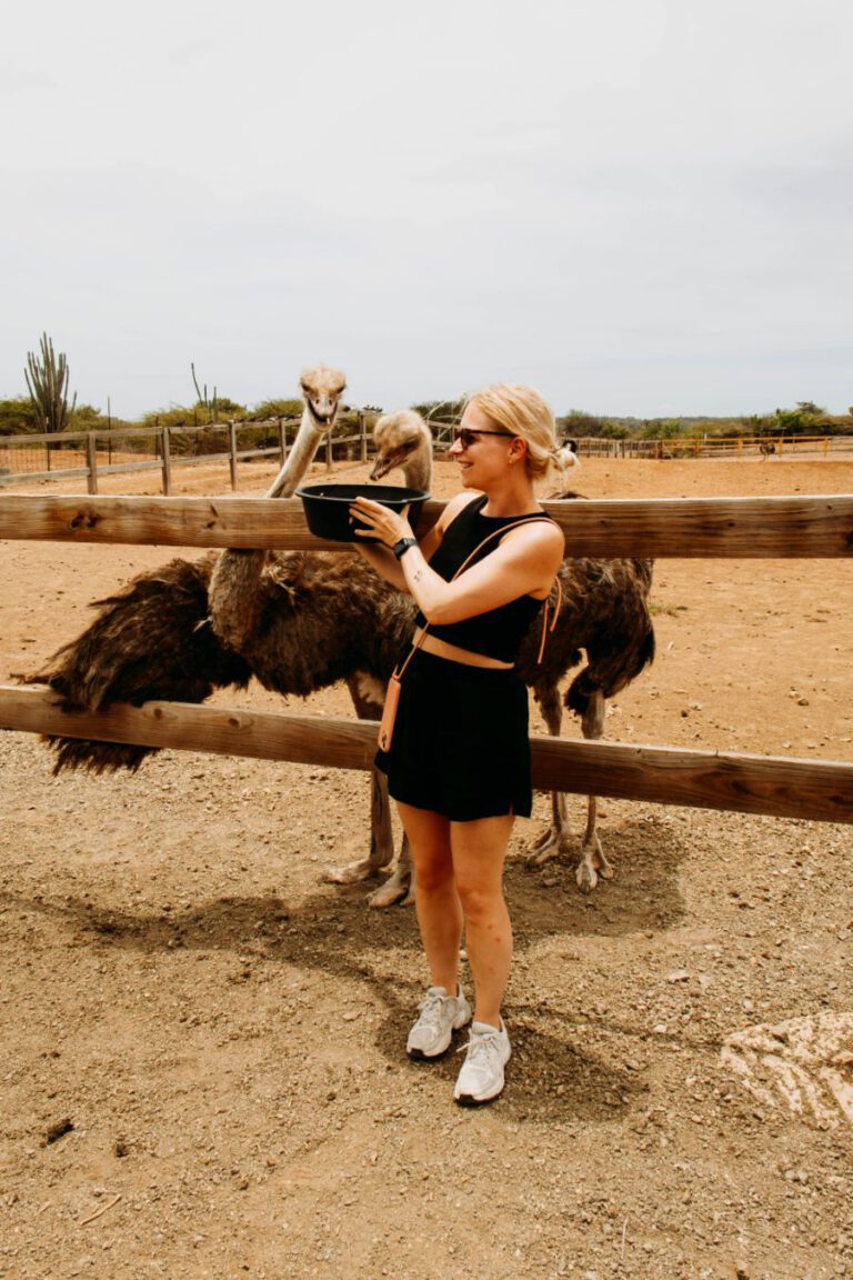 Struisvogelfarm Curacao