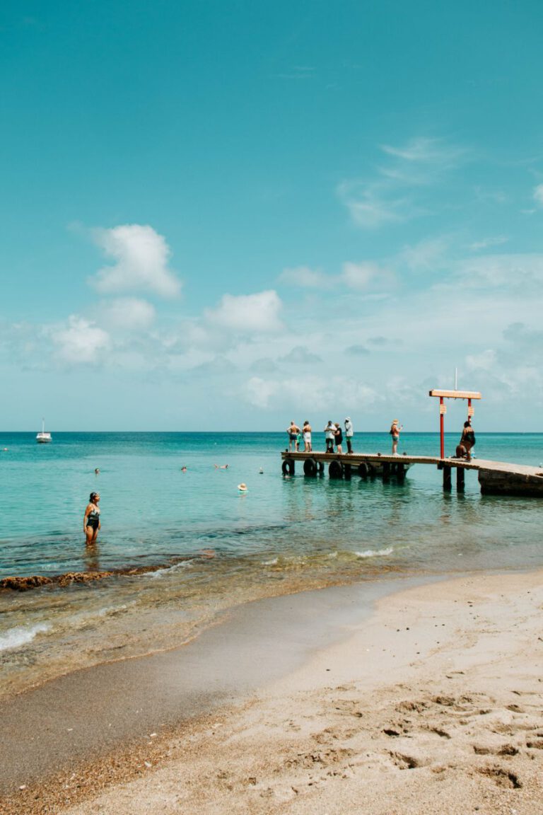 Playa Grandi Curacao schildpadden