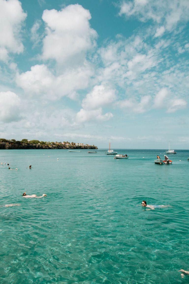 Playa Grandi Curacao schildpadden