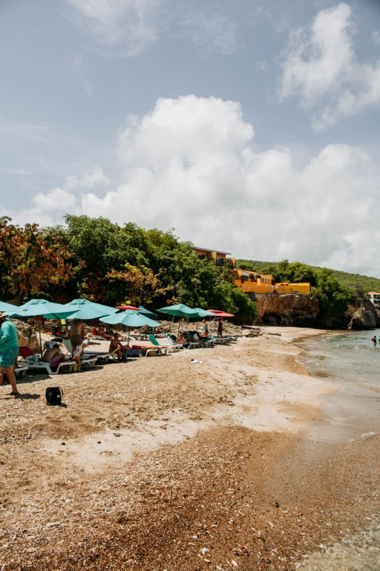 Playa Grandi Curacao schildpadden