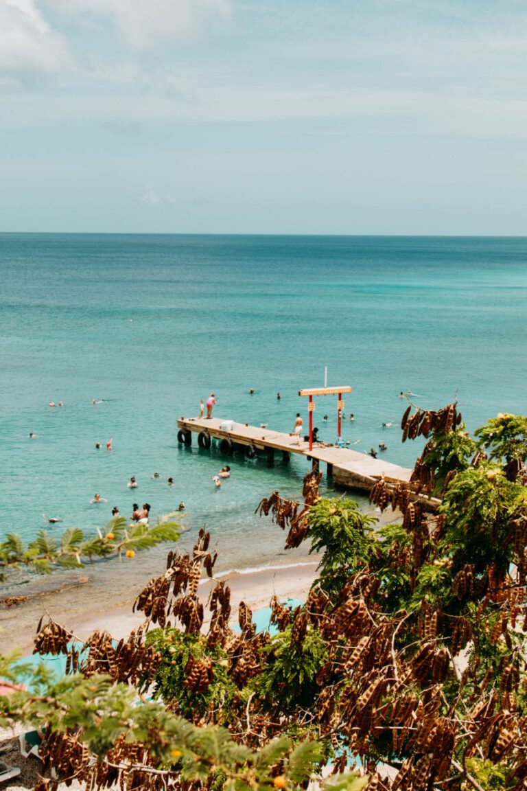 Playa Grandi Curacao schildpadden