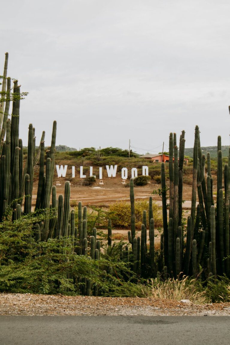 Willywood Sign Curacao