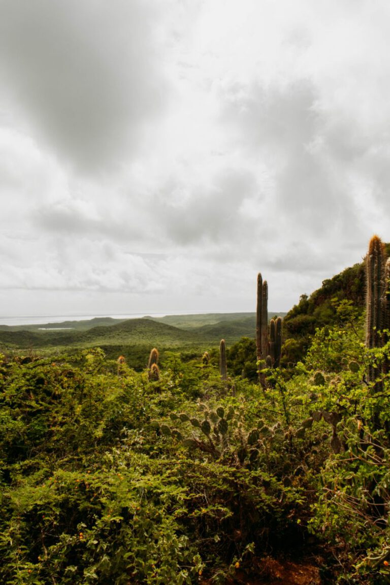 Christoffelberg Christoffelpark Curacao