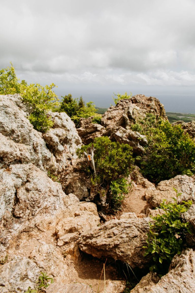 Christoffelberg Christoffelpark Curacao