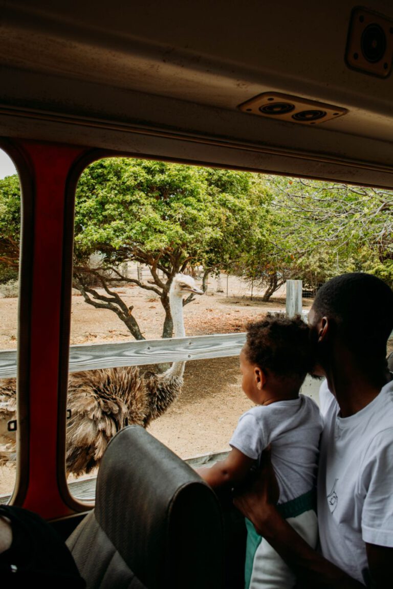 Struisvogelfarm Curacao