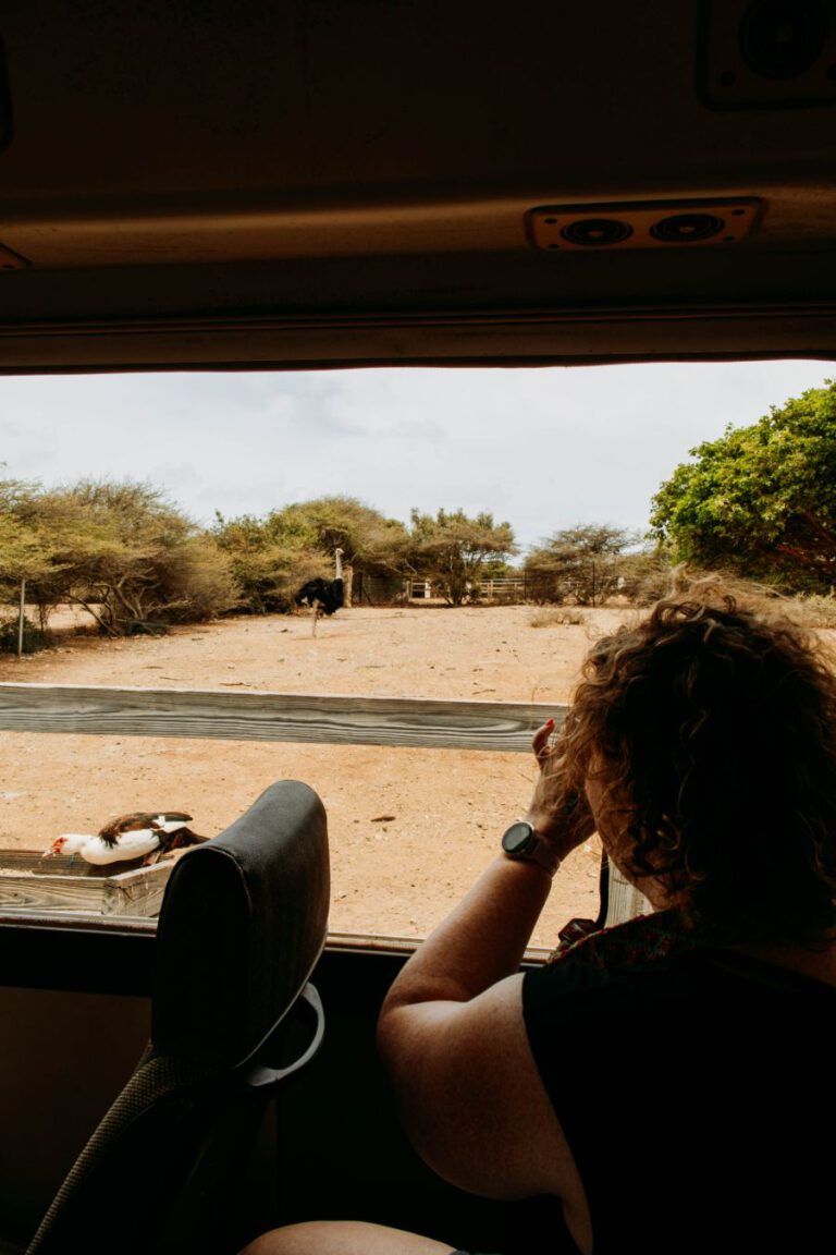 Struisvogelfarm Curacao