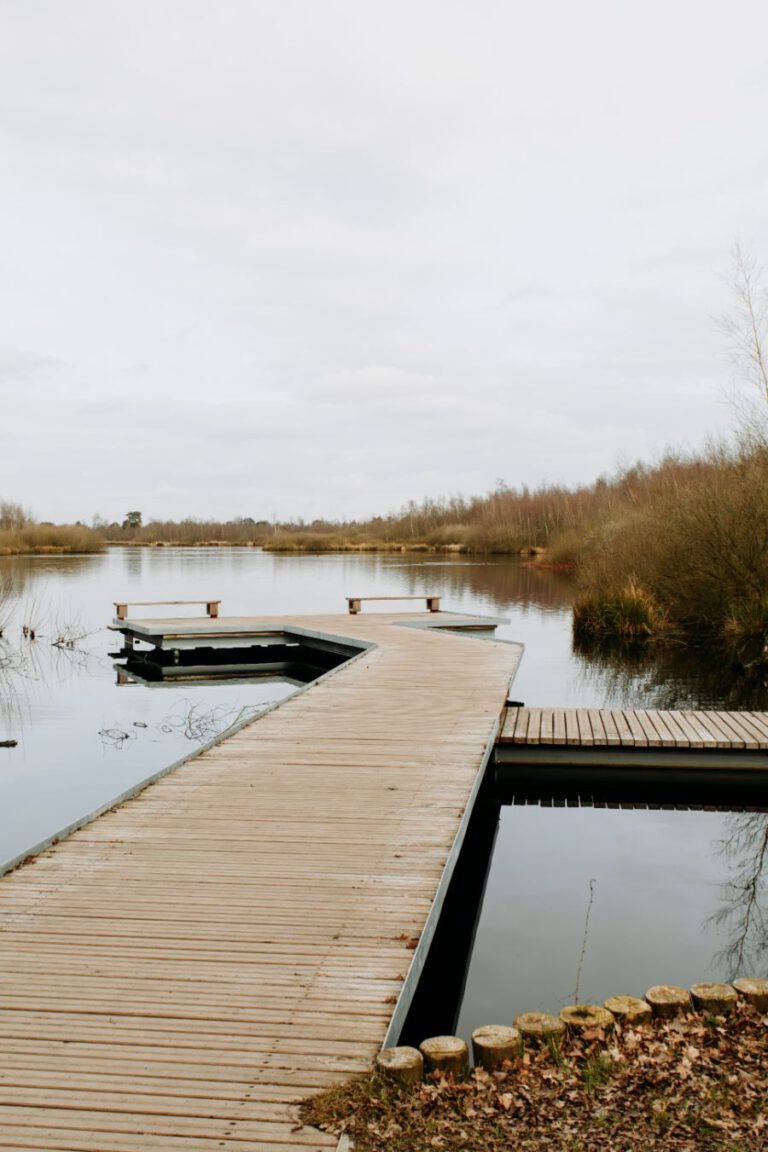 Lilly's Boshuisje Noord-Limburg De Groote Peel