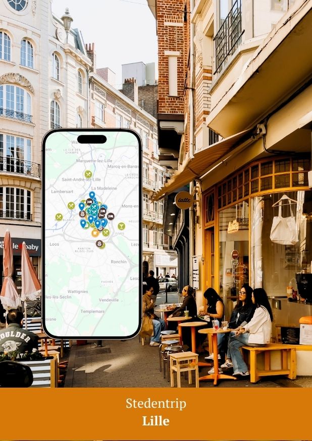 Google Maps kaart Lille