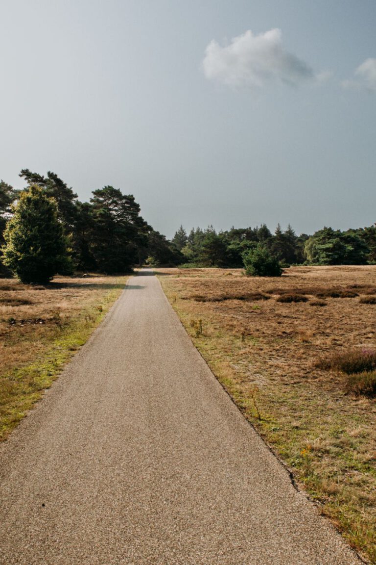 Hoge Veluwe Nationaal Park