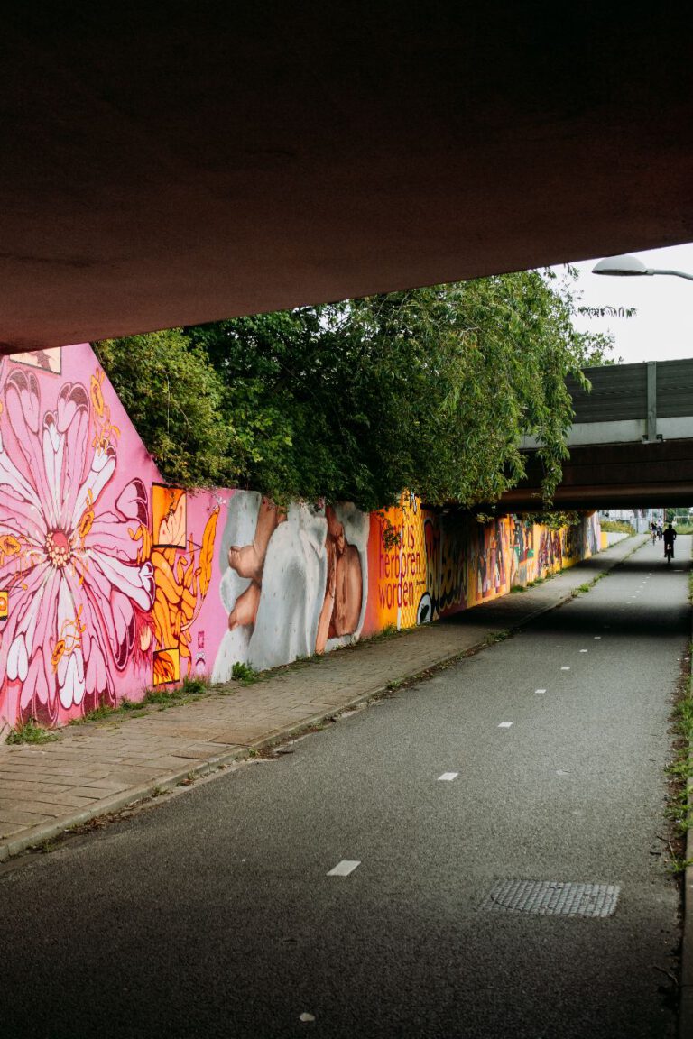 Streetart Ede Keesomstraat