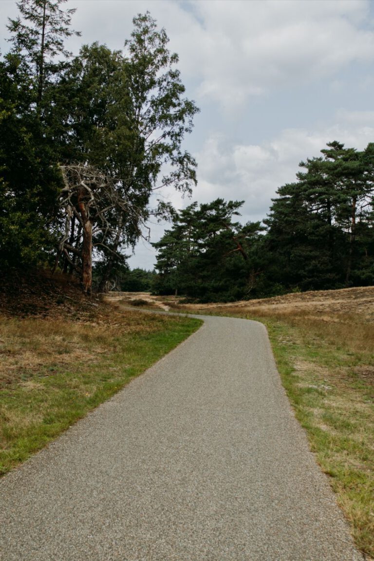 Hoge Veluwe Nationaal Park