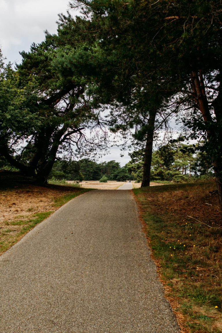 Hoge Veluwe Nationaal Park