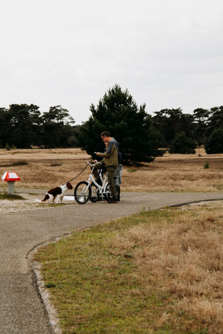 Hoge Veluwe Nationaal Park