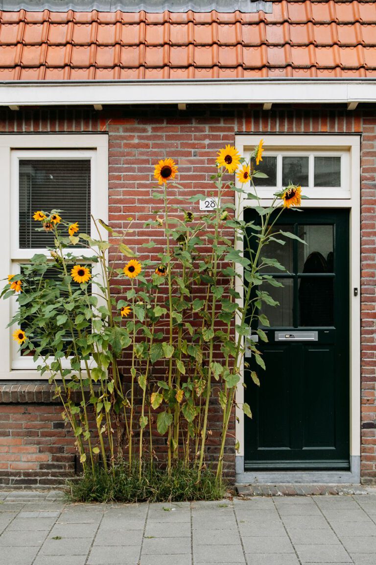 Philipsdorp Eindhoven