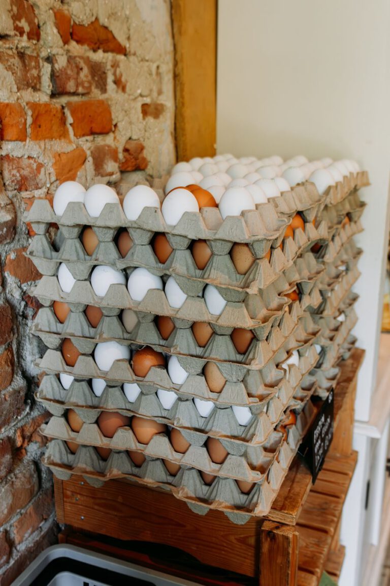Genneper Parken Eindhoven