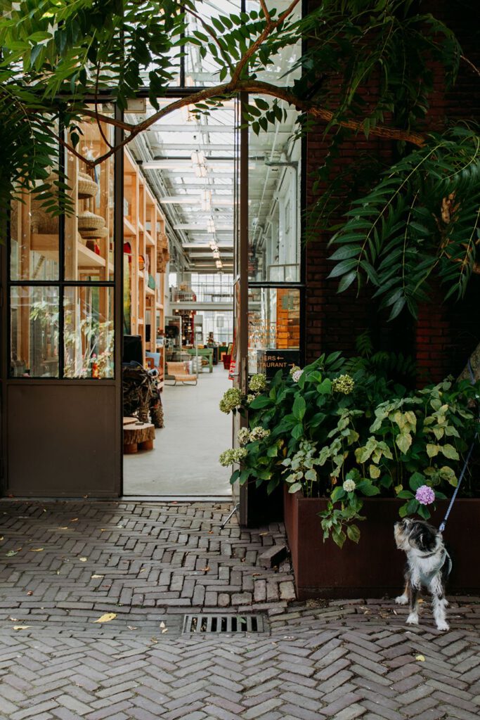 Piek Hein Eek Eindhoven