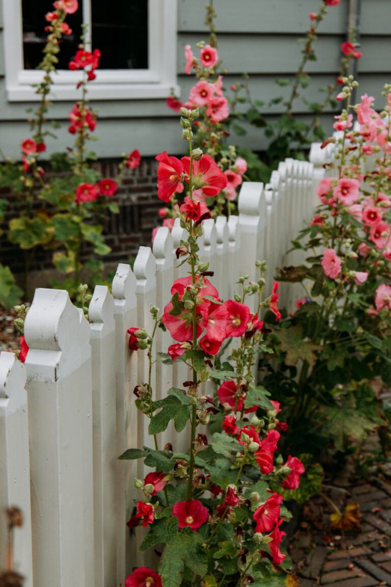 Broek in Waterland Noord-Holland