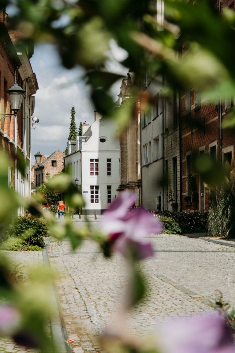 Begijnhof Mechelen Belgie