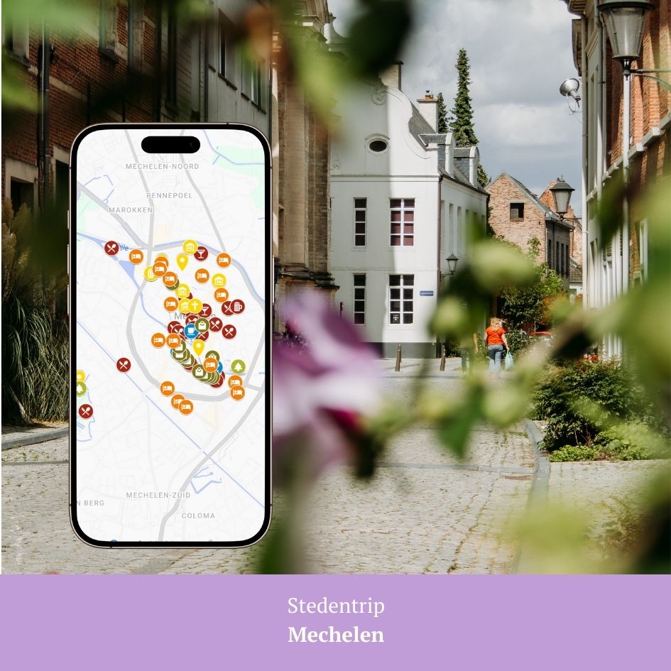 Google Maps kaart Mechelen