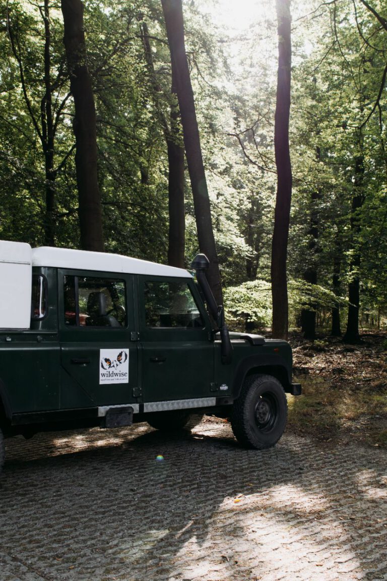 Wildwise wandeling Veluwe Apeldoorn