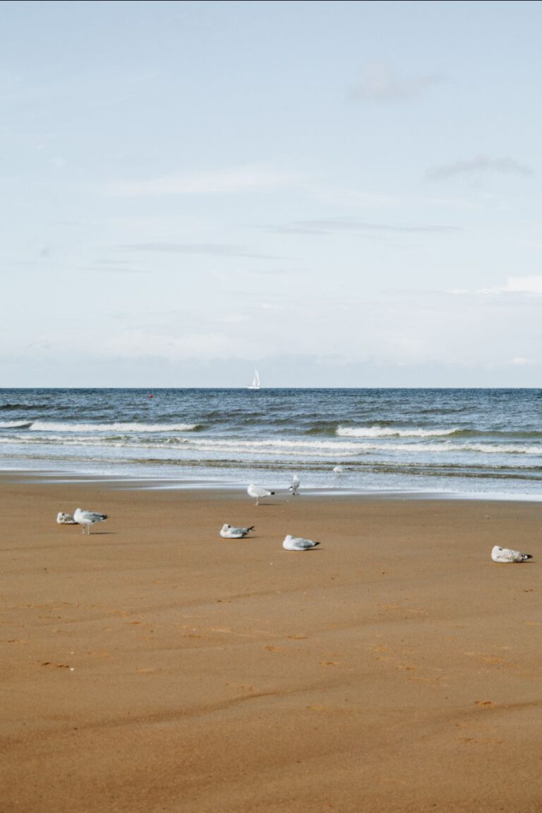Strand Oostende