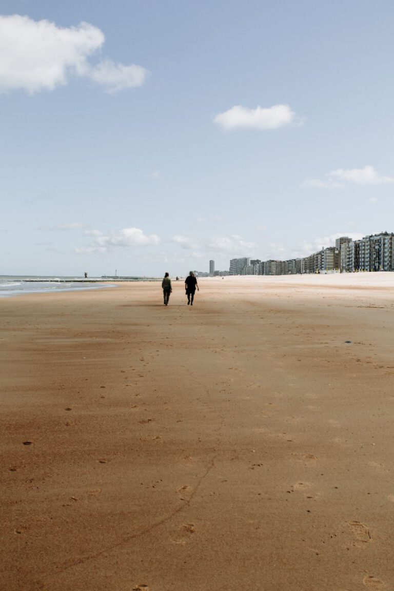 Les Cabanes d'Ostende-43