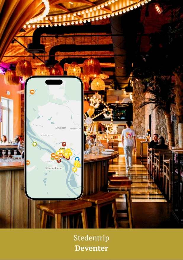 Google Maps kaart Stedentrip Deventer