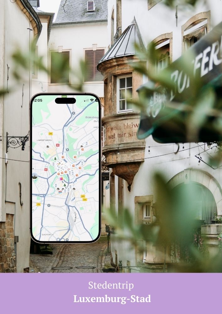 Google Maps kaart stedentrip Luxemburg-Stad
