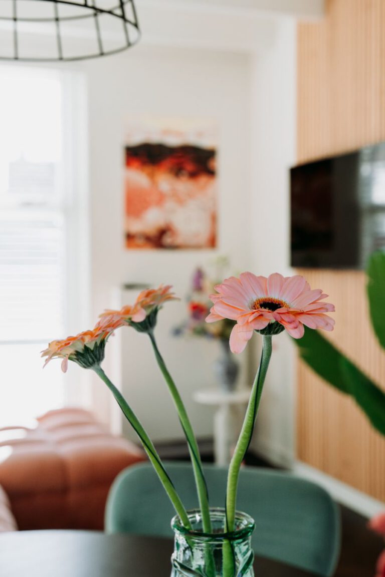 Thuis aan Zee Vlissingen