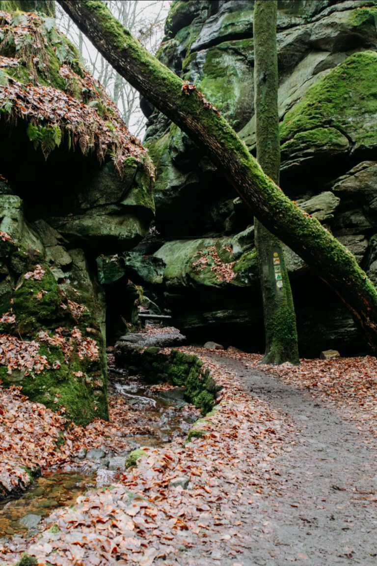 Mullerthal Luxemburg