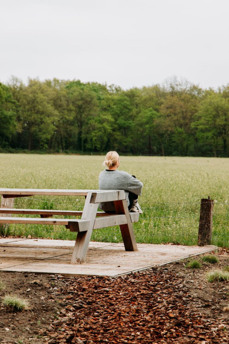 Boshuis Haen Veluwe