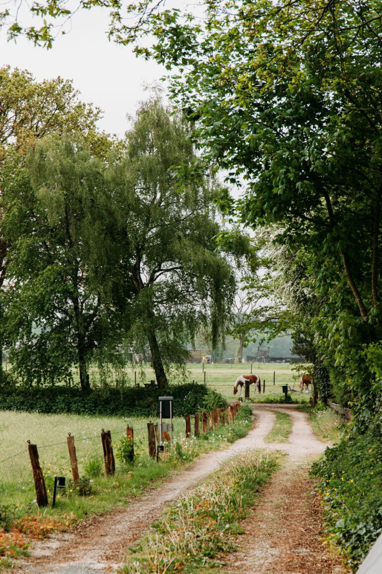 Boshuis Haen Veluwe