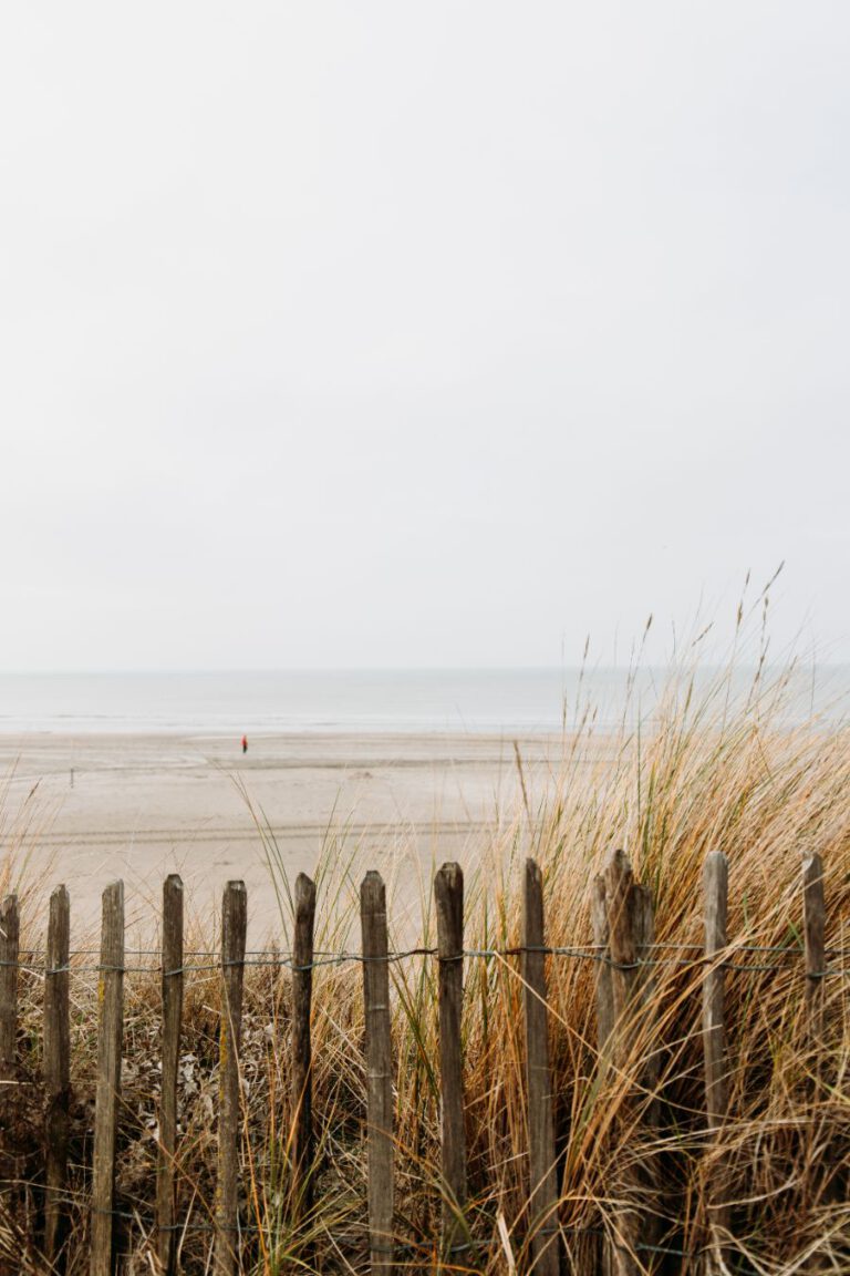 Boulevard 5 Zandvoort